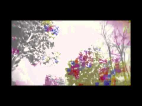 Fuera - Dellafuente