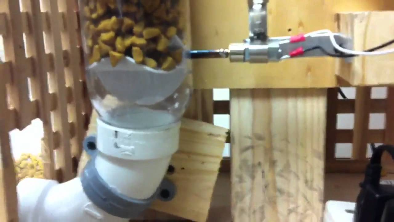 Automatic Pet Feeder - YouTube