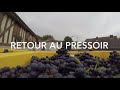 Vendanges 2018 - Champagne A. VIOT & Fils