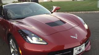 New Car! RARE Corvette Stingray