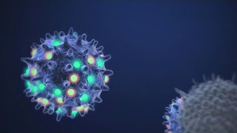 COVID-19: Austin/Travis County crosses Stage 5 threshold | FOX 7 Austin