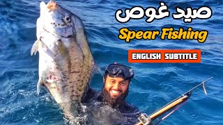 صيد غوص حر مسدس بوشات مارلن حجم ١١٥ | spearfishing BEUCHAT  marline 115 HD Carbon fiber