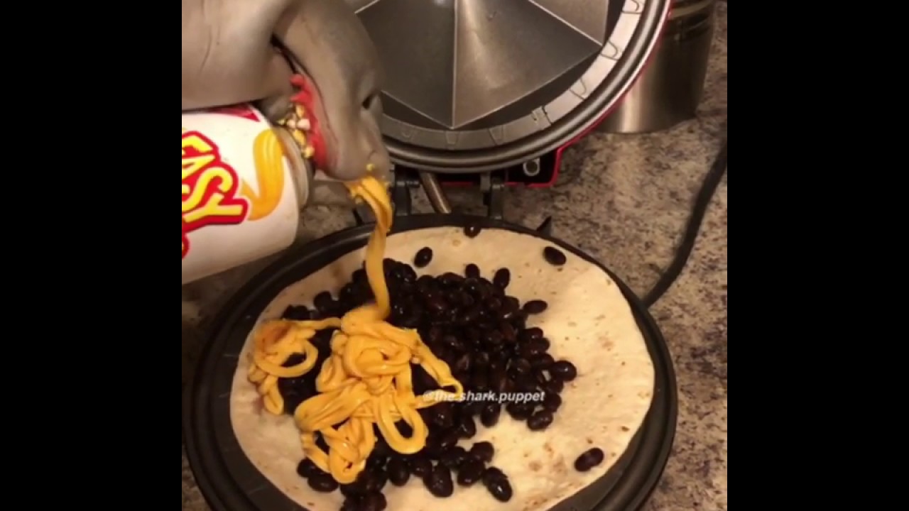 video editing software free Shark Puppet makes a quesadilla!
