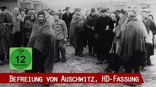 Befreiung von Auschwitz (HD 1080p)