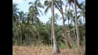 Bin Hare Mtu Maskini