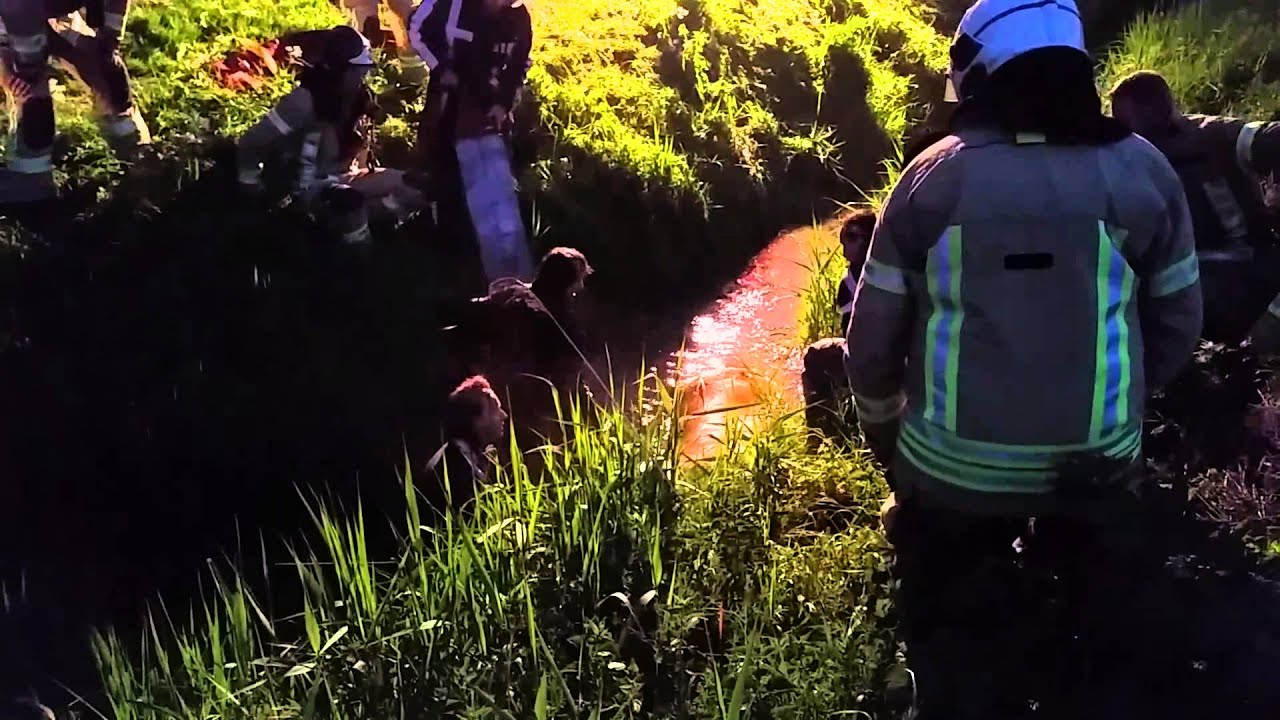 Paard in de sloot Achthuizen