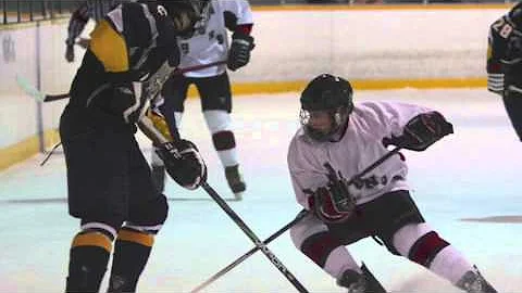 St. James Catholic High School Go Lions!!!