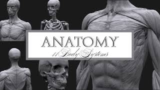 BODY IN HARMONY | ANATOMY  | 11 Body Systems