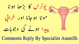 Large Uterus Problems - Enlarge And Bulky Uterus Problem And Reasons By Specialist Anamsh