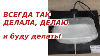 Рассадный марафон | Что важно знать о #проращивании семян лука #Эксибишен