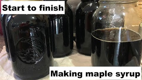 How to Make MAPLE syrup start to finish, Ontario, Canada