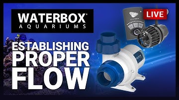 EP09 | Selecting Optimal Equipment for the REEF LX 320.7. A Guide to Large Reef Aquariums