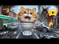 Cat like to play iPhone in Tolet but...😭#cat #cute #cutecat