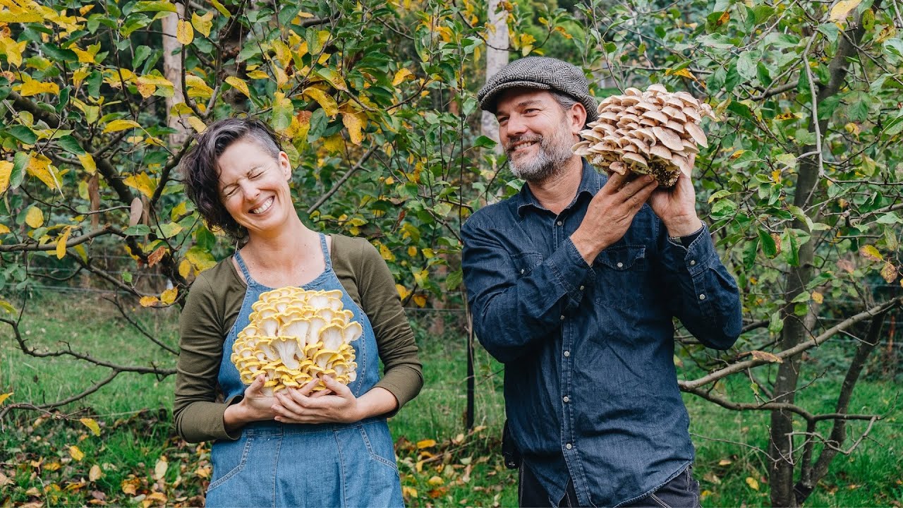 Home Mushroom Cultivation - an online course with Milkwood