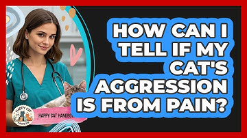 How Can I Tell If My Cat