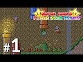 Lets play super mario power star frenzy 1