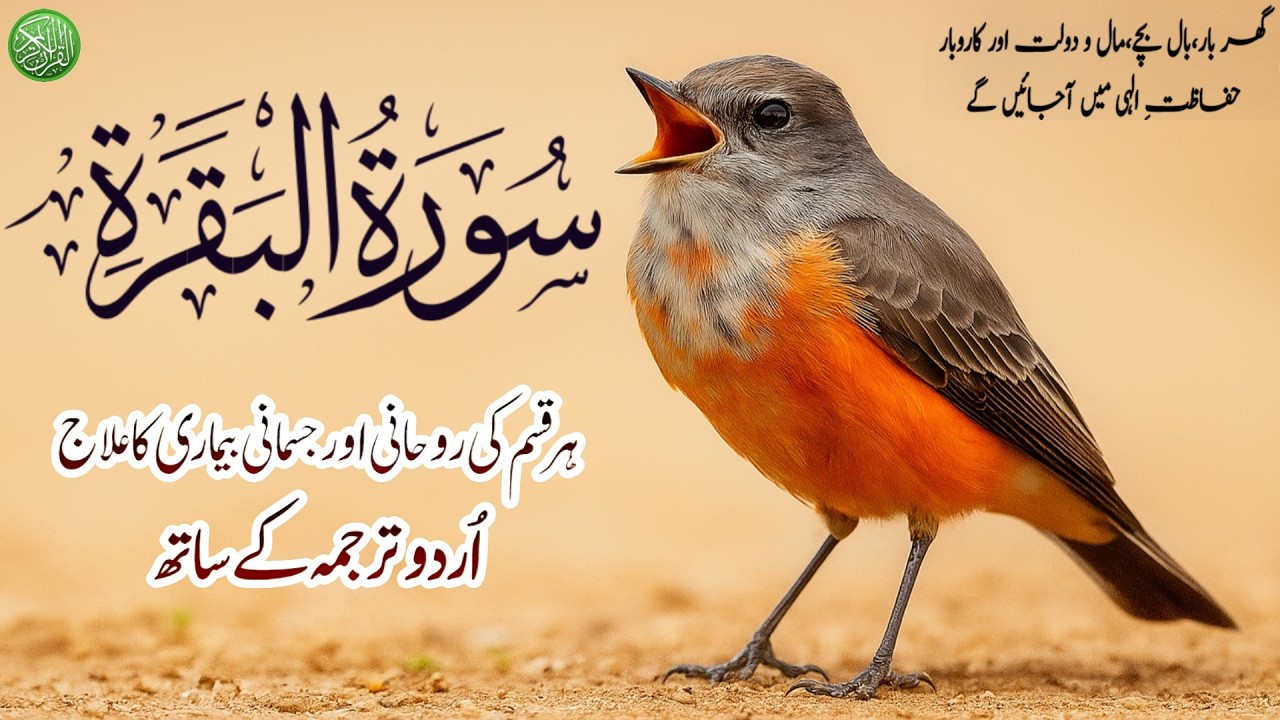 Surah Al-Baqarah | Full HD Recitation with Arabic Text | Pure Quran Tilawat By Shaikh Alaa Aqel