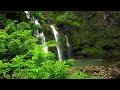 🌊 90 Minutes of Waterfall Sounds | Sleep, Rest, Relax & Unwind 🌊