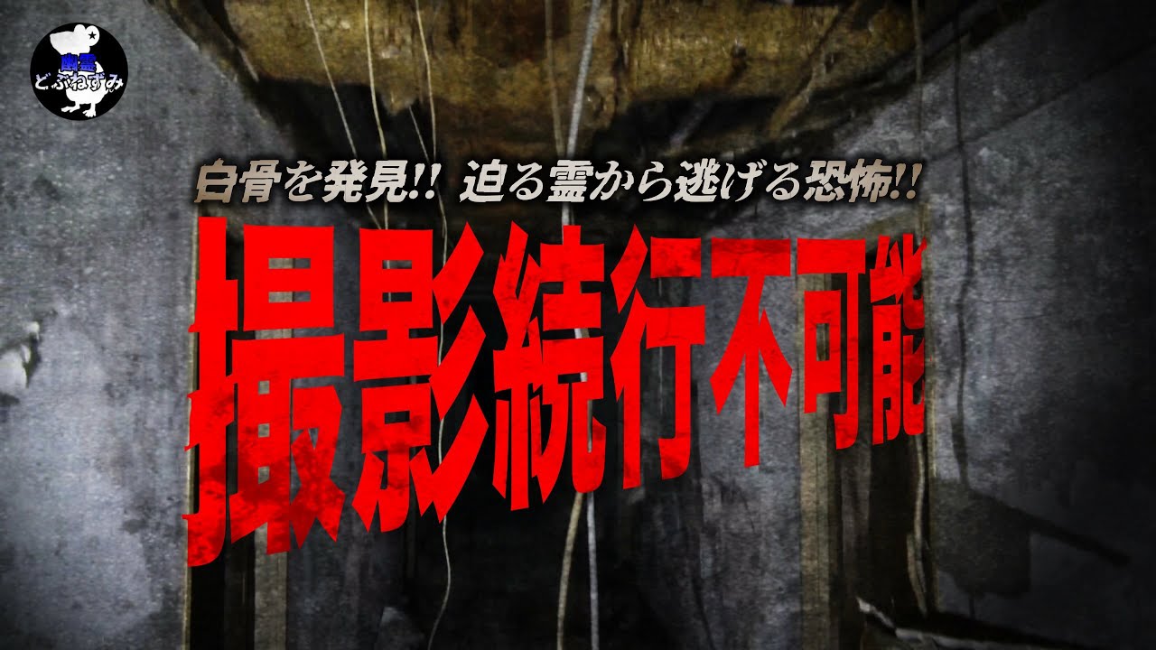 【恐怖注意】※白骨を発見！撮影中止！威嚇して迫る霊の恐怖！【宮崎県最恐心霊スポット！】