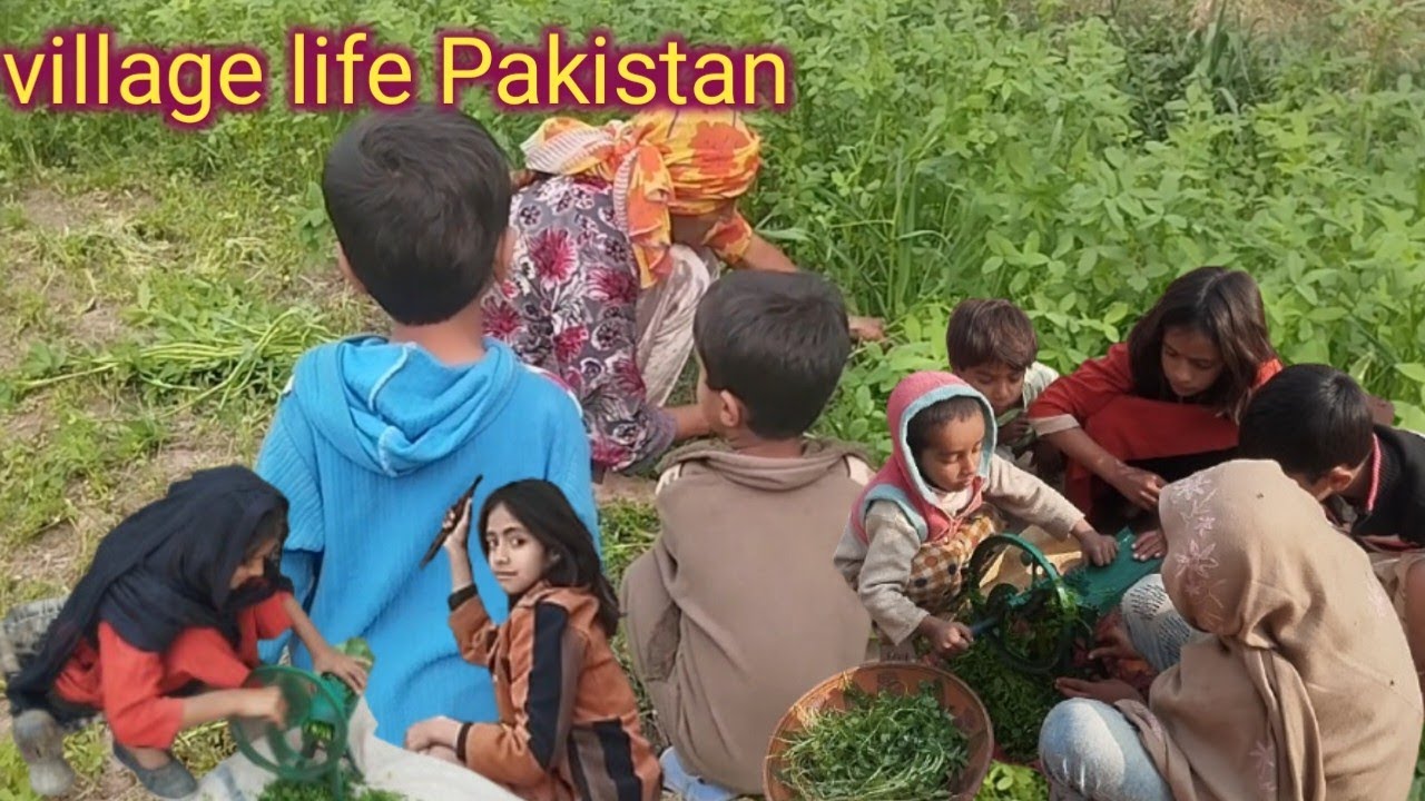 village life|winter wonderful cooking style|sarson Ka saag traditional food|