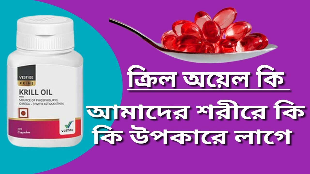 krill oil benefits vestige krill oil benefits in bengali krill oil