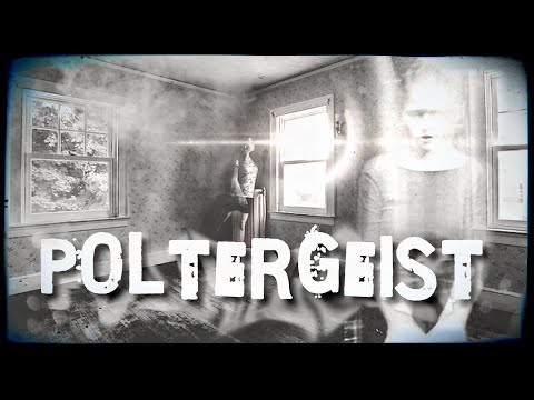 Video: A Poltergeist Playing With A Stepladder Scared The Worker - Alternative View