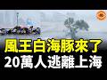 風王白海豚來了，20萬人逃離上海，城市立即癱瘓，一片汪洋，最高樓都開始晃了！
