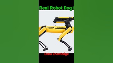 Real robotic dog . #shorts #robotics
