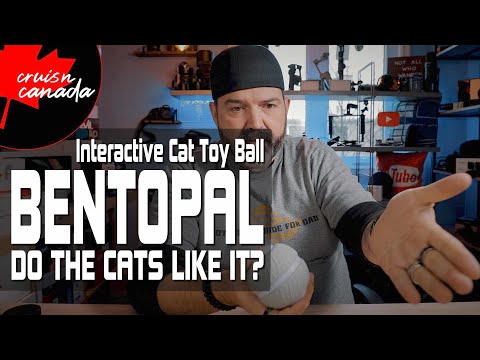 BENTOPAL Interactive Cat Toy Ball | Our Unboxing & Review