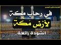 في رحاب مكة أنشودة رائعة فارس الحيدري حصري 2026 بدون موسيقى 