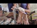 Amazing Big Tripletail Fish Cutting Skills !!! In The Fish Market Fillet Fishing Cut Video