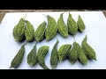 How to Grow Karela From Seeds Complete Video Must Watch
