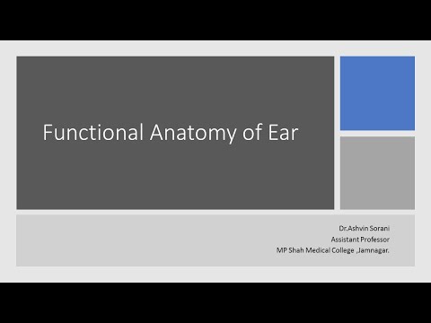 Physiological Anatomy of Ear
