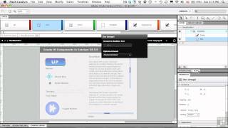 Celebrity InfiniteSkills Tutorial | Flash Catalyst CS5.5 | Check Boxes and Radio Buttons Profile