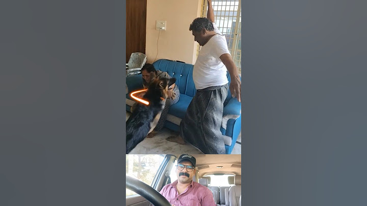 ഒന്ന് അടിക്കാൻ നോക്കിയപ്പോൾ നായയുടെ സ്നേഹം കണ്ടോ ❤️ #shorts #dog #youtubeshorts #reaction #ytshorts