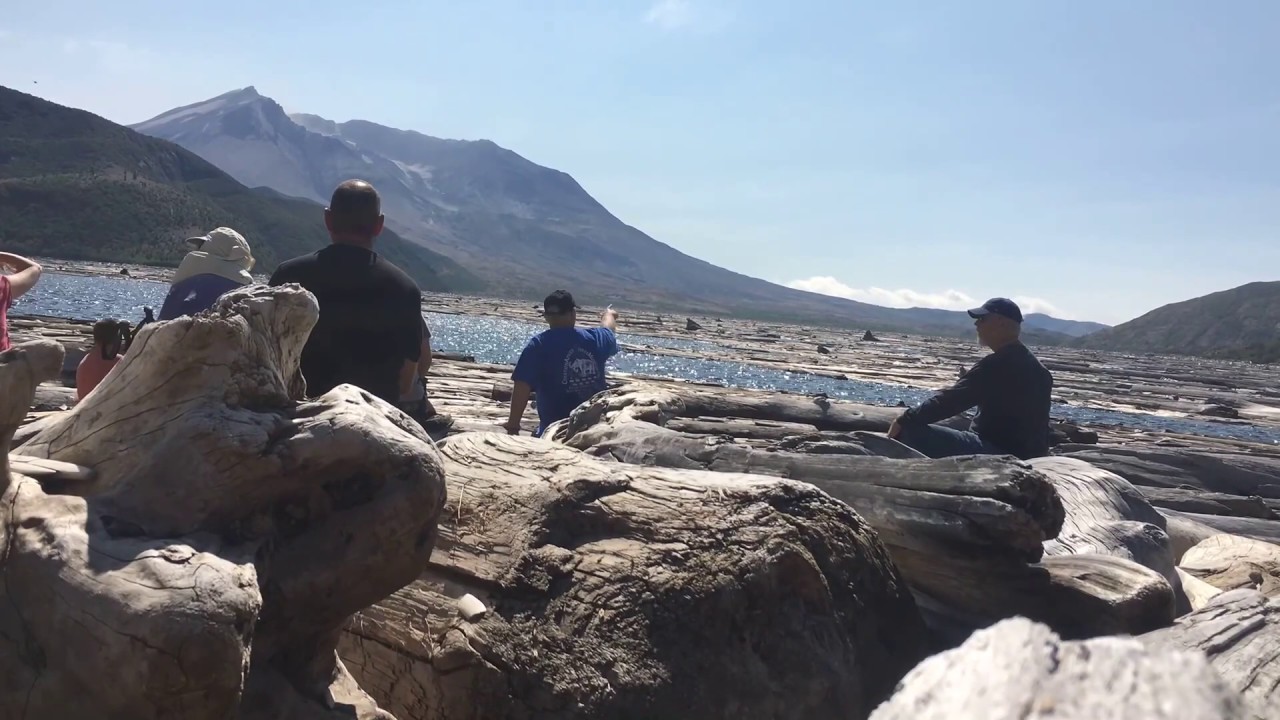 Spirit Lake log mat in motion! YouTube