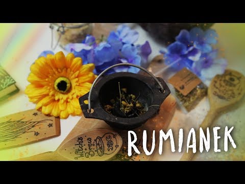 Wideo: Przydatne Właściwości Rumianku
