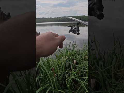 Рыбалка на карасика