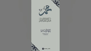 🤍✨اللهم صل على محمد وآل محمد 🌷 سورة الأحزاب:٥٦|طارق محمد|Al Ahzaab:56|Tareq Mohammed