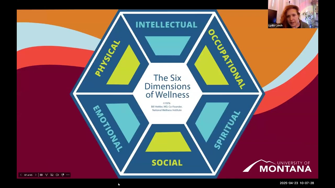 Pathways to Wellbeing: Insight to Action, Reflections from Confluence 2025