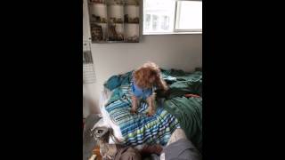 Craigslist gets tricked by the FedEx truck