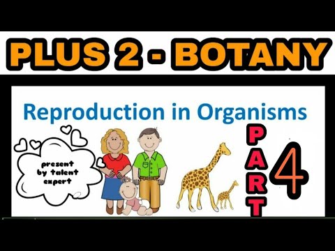 BOTANY CHAPTER 1 SEXUAL REPRODUCTION part 4