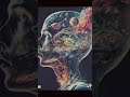 Krishna consciousness and psychology. #bhagwatgeeta #shortvideo #psychology #universe  #motivation