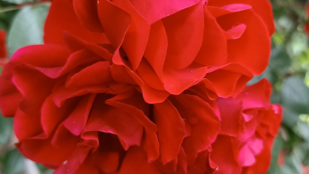 Внутриутробная Порча Испуг Проклятие - как влияет на всю жизнь человека ...