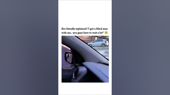 Hero Dog Stops Traffic for Blind Owner – Heartwarming Moment! 🐶❤️ #shorts