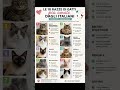 Le 10 razze di gatti più amate dagli italiani
