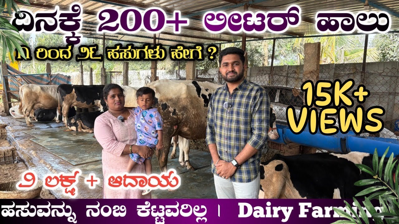 Cow farming | ಹೈನುಗಾರಿಕೆ ಬಗ್ಗೆ ಸಂಪೂರ್ಣ ಮಾಹಿತಿ | Hasu farm | Dairy farm | Hainugaarike | Milk farming