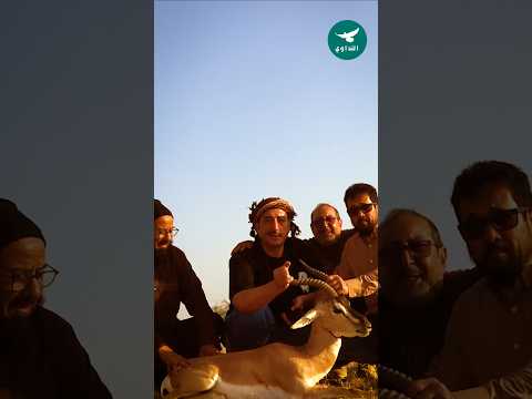 أول ظبي في الرحلة