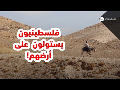 فلسطينيون يستولون على أراضيهم