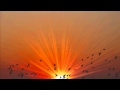 Sunset with Birds